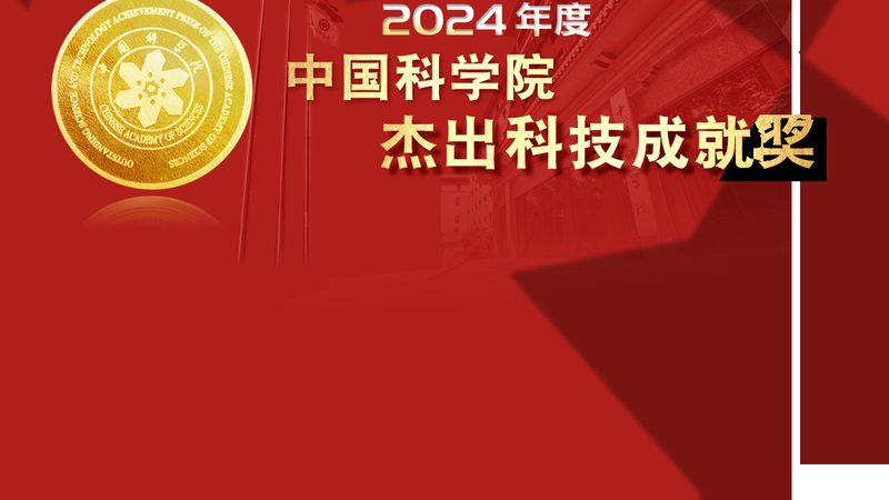 SAP与Oracle供应链软件：性能与架构的深度解析